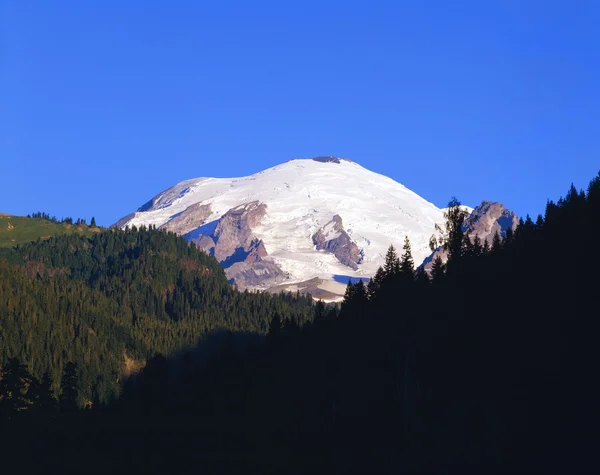 Gletscherbedeckter Gipfel, Mount Rainier Nationalpark — Stockfoto