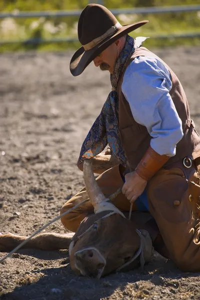 Steer Wrestling — Zdjęcie stockowe