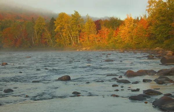 Du diable rivier en herfst bomen — Stockfoto