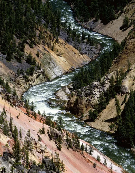 Yellowstone річки, Єллоустоунський національний парк — стокове фото