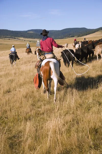 Cowboy med ett lasso — Stockfoto