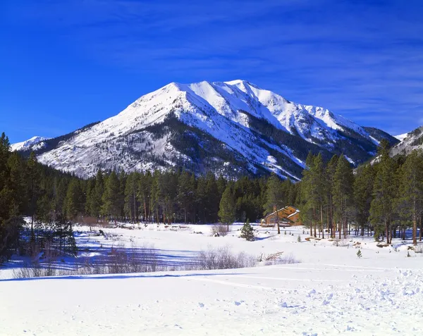 Zimní scéna v rocky mountains — Stock fotografie
