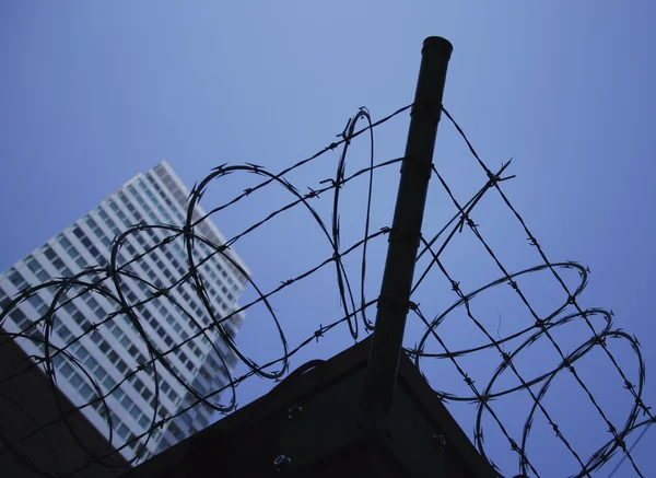 Coils Of Barbed Wire — Stock Photo, Image