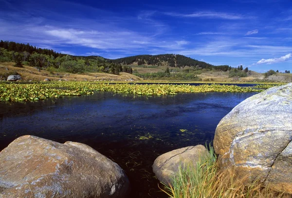 Cantos rodados en el estanque de lirios, montañas beartooth — Foto de Stock