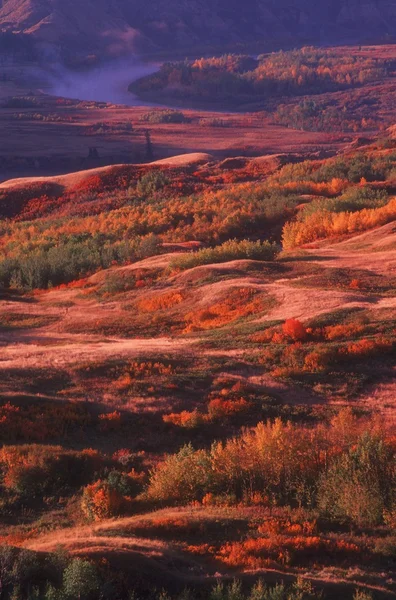 A Beautiful Landscape — Stock Photo, Image