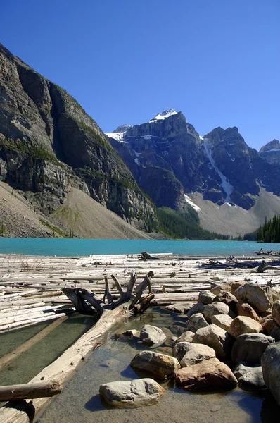 Dalgaların karaya attığı odun ile bir dağ gölü — Stok fotoğraf