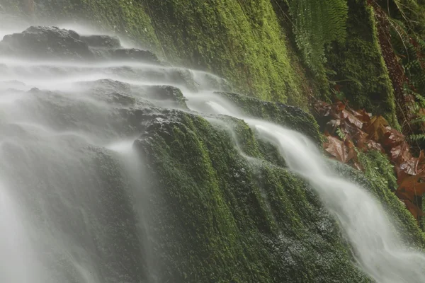 Water Streaming Over A Vegetative Landscape — Stock Photo, Image