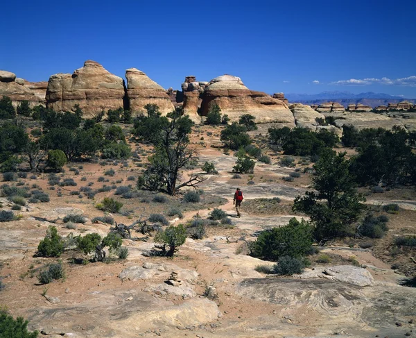 Um caminhante solitário no país remoto do drock, o distrito do labirinto, parque nacional de Canyonlands — Fotografia de Stock