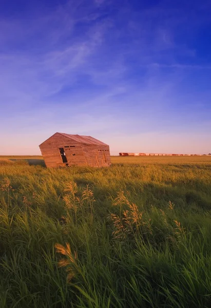 Zdezelowanym shack w polu — Zdjęcie stockowe