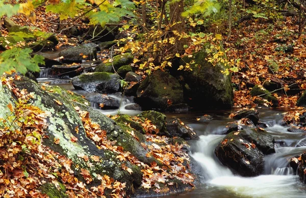 Krásné podzimní stream — Stock fotografie