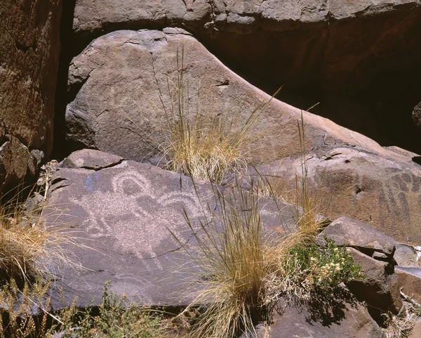 Antica arte rupestre Petroglifo ritratto Bighorn Pecora nel deserto del Mojave — Foto Stock