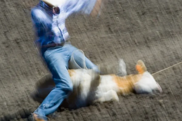 Roping A Steer — Stock Photo, Image