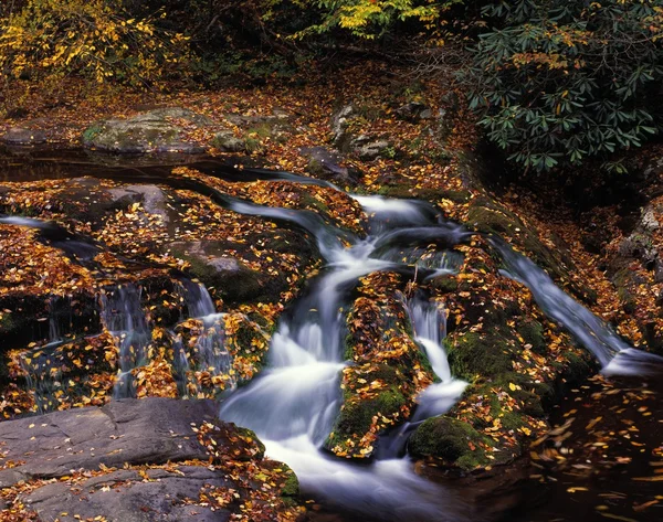 Pequenas cascatas de rio e folhas de outono caídas, grande parque nacional de montanhas fumegantes — Fotografia de Stock