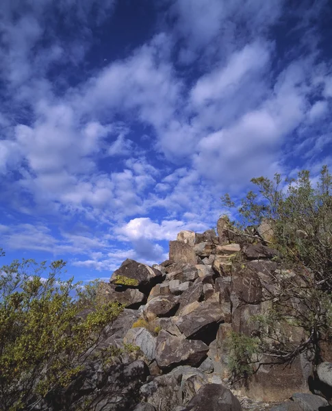 Скалы с древним Петроглифом рок-арта, около трех рек Петроглиф национального места отдыха — стоковое фото