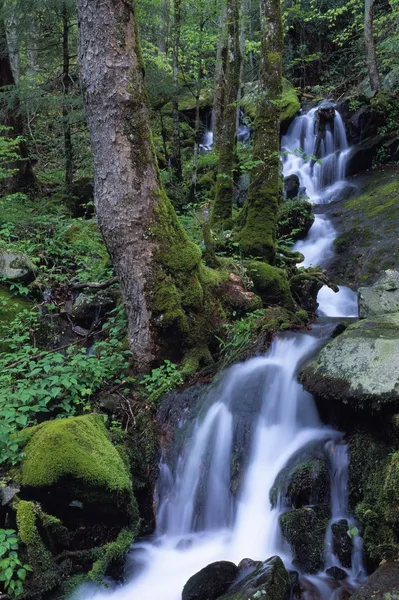 Водопад, льющийся с гор — стоковое фото