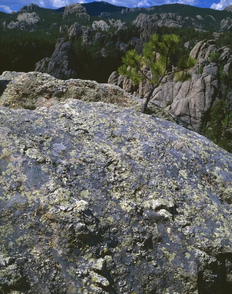 花岗质岩石，黑色山国家森林 — 图库照片