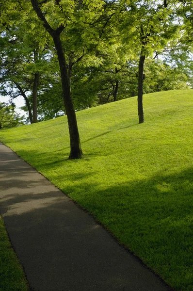 公園内の道は — ストック写真