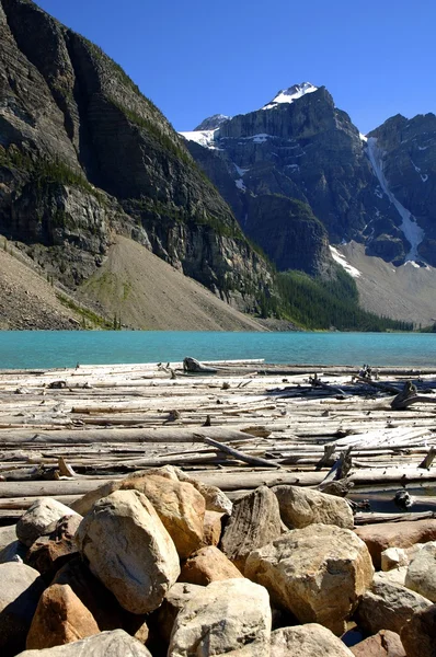 Registros en un lago de montaña —  Fotos de Stock