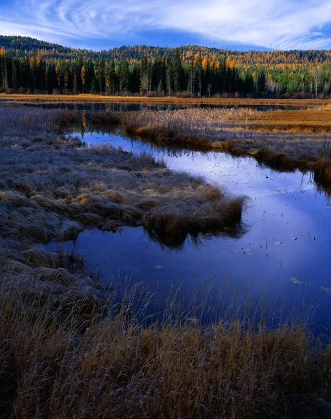 Terras húmidas perto do Lago Seeley, Swan Valley — Fotografia de Stock