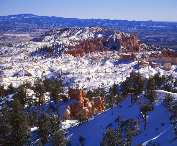 Zima v národního parku bryce canyon — Stock fotografie