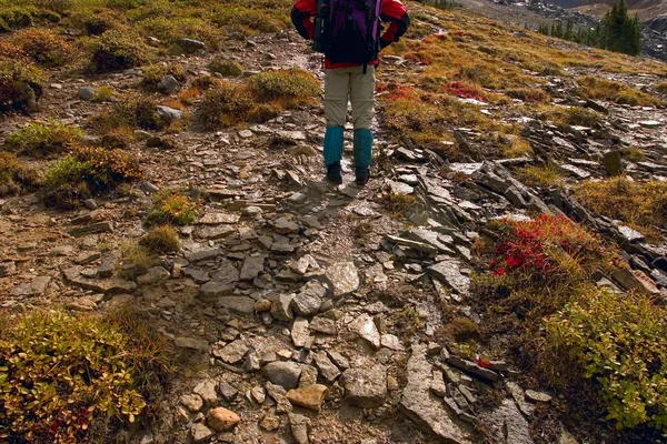 Wandelaar op trail — Stockfoto