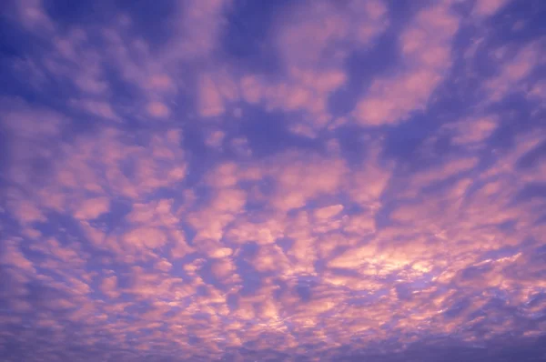 Nubes rosadas — Foto de Stock