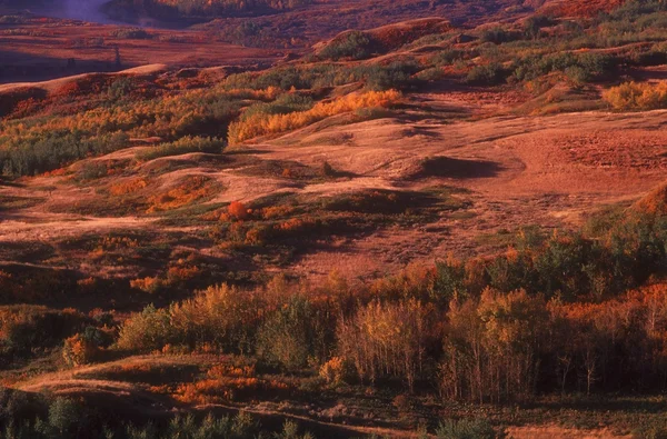 Een prachtig landschap — Stockfoto