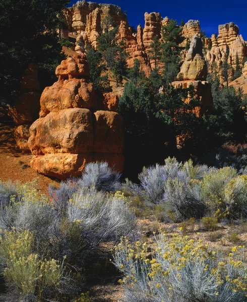 Bunte Hoodoo-Felsformationen, roter Canyon, Bryce-Canyon-Nationalpark — Stockfoto