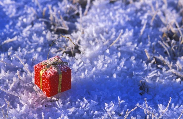 A Present Ornament — Stock Photo, Image