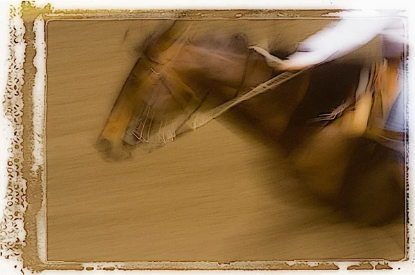 Caballo en movimiento —  Fotos de Stock