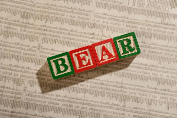 The Bear — Stock Photo, Image