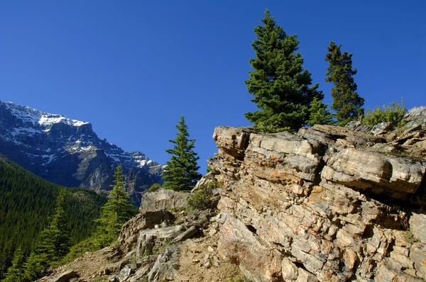 Rotsachtig landschap — Stockfoto