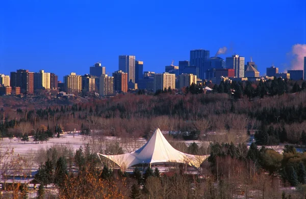 Edmonton Skyline — Stockfoto