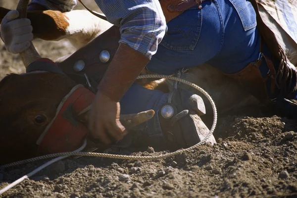 Steer Wrestling — Zdjęcie stockowe