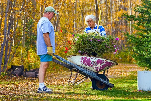 Couple faisant du travail dans la cour — Photo