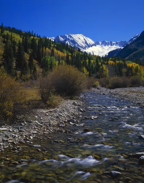 Autumn Colors, Flowing Water Of Castle Creek — Stock Photo, Image