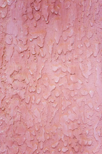 Textured Pink Wall