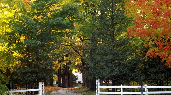 Une propriété rurale à l'automne — Photo