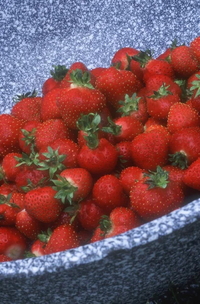 Erdbeeren in einer Schüssel — Stockfoto