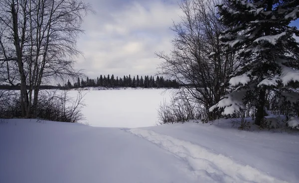 Snowy Landscape — Stock Photo, Image