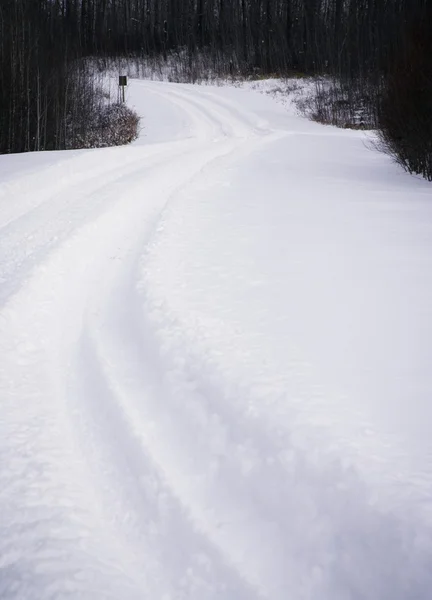 Snowy Path — Stock Photo, Image