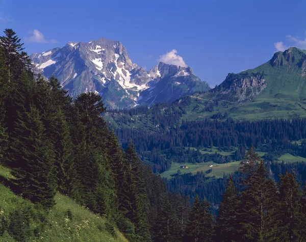 Österrikiska Alperna, Vorarlberg regionen — Stockfoto