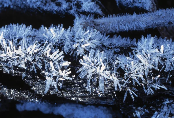 Hoar frost — Stockfoto