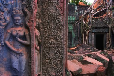ta prohm bas kabartmaları, angkor, Kamboçya