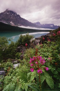 düşük su kuşları Gölü, banff Ulusal Parkı