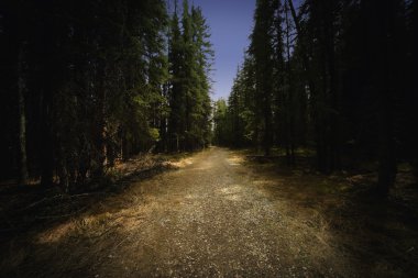engebeli yol