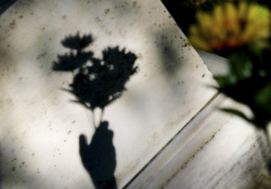 Gölge tarafından mezara çiçek tutan elin