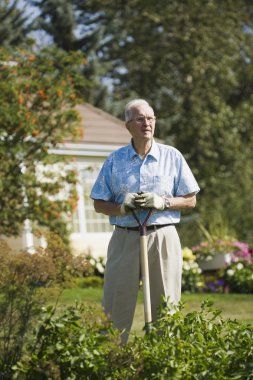 üst düzey bahçıvan