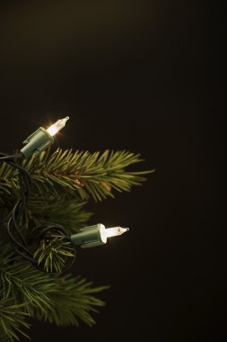 Noel Ağacı Işıkları