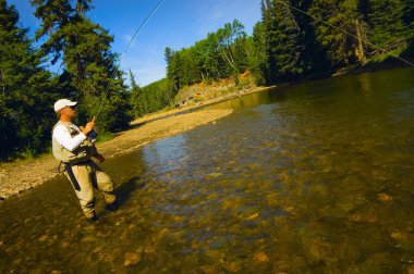 Fly Fishing In Alberta clipart